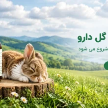 شربت بی بی سد گل دارو