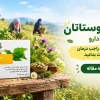 پروستاتان برای پروستات ، بررسی ترکیبات، کاربرد، علائم بزرگی پروستات و مکمل‌های مفید برای سلامت پروستات